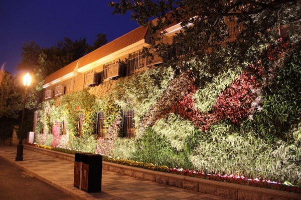 Patented Private Design Galaxy LED Wall Washer Light