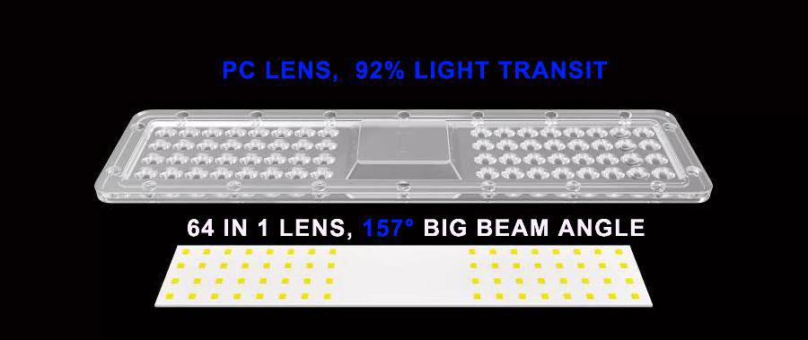 LENS and Chips